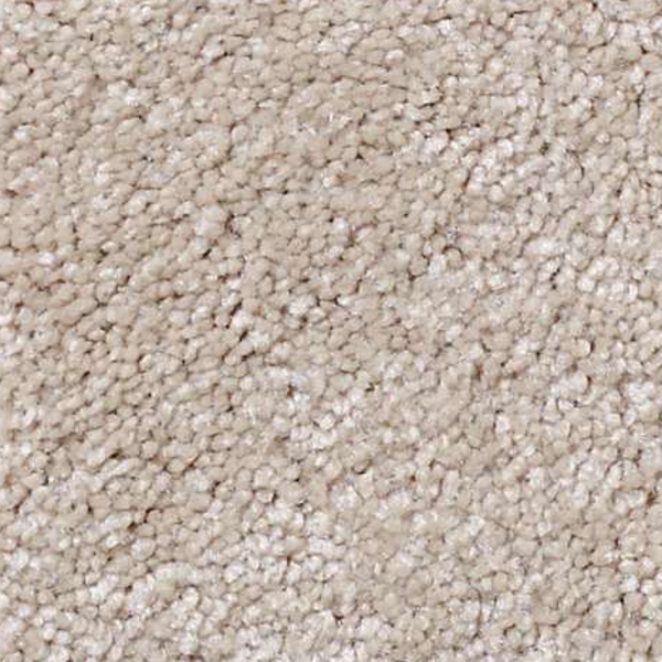 Shaw Floors That's Right French Canvas SHAW