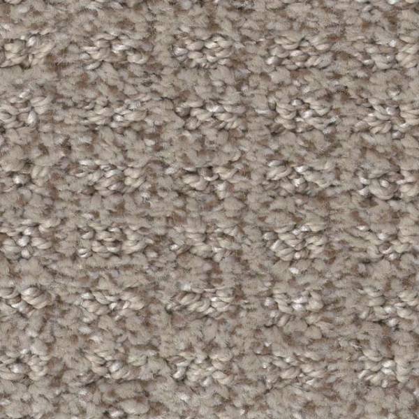 Shaw Floors Stay Fit Mesa SHAW