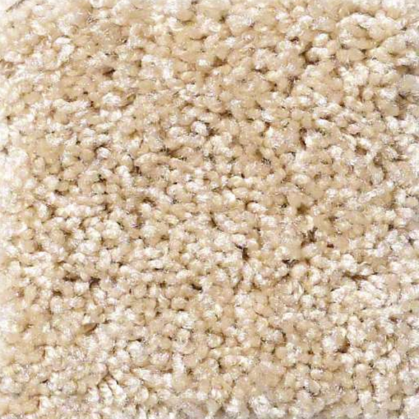 Shaw Floors Dreamin 12' Muslin SHAW