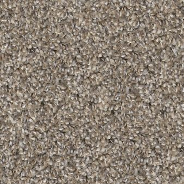 Shaw Floors Soft Effervescence Nutria SHAW