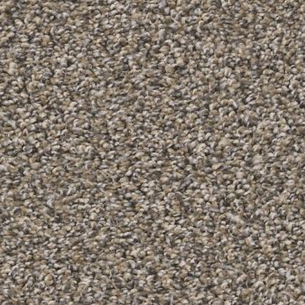 Shaw Floors Soft Radiance Nutria SHAW