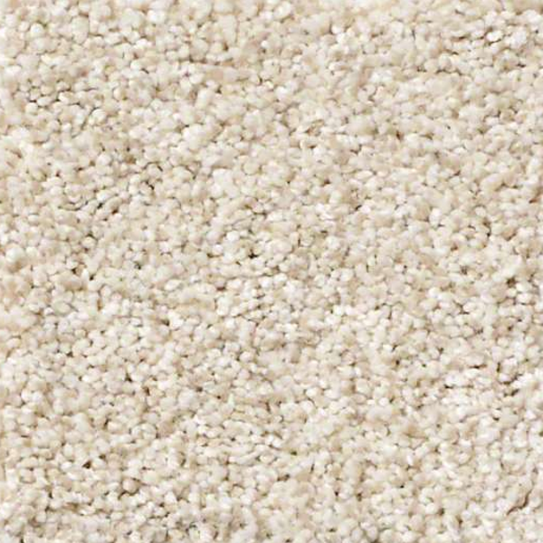 Shaw Floors Anso It Goes Pebble SHAW