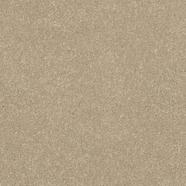 Shaw Floors Easy Spirit I 12 Raw Lumber SHAW