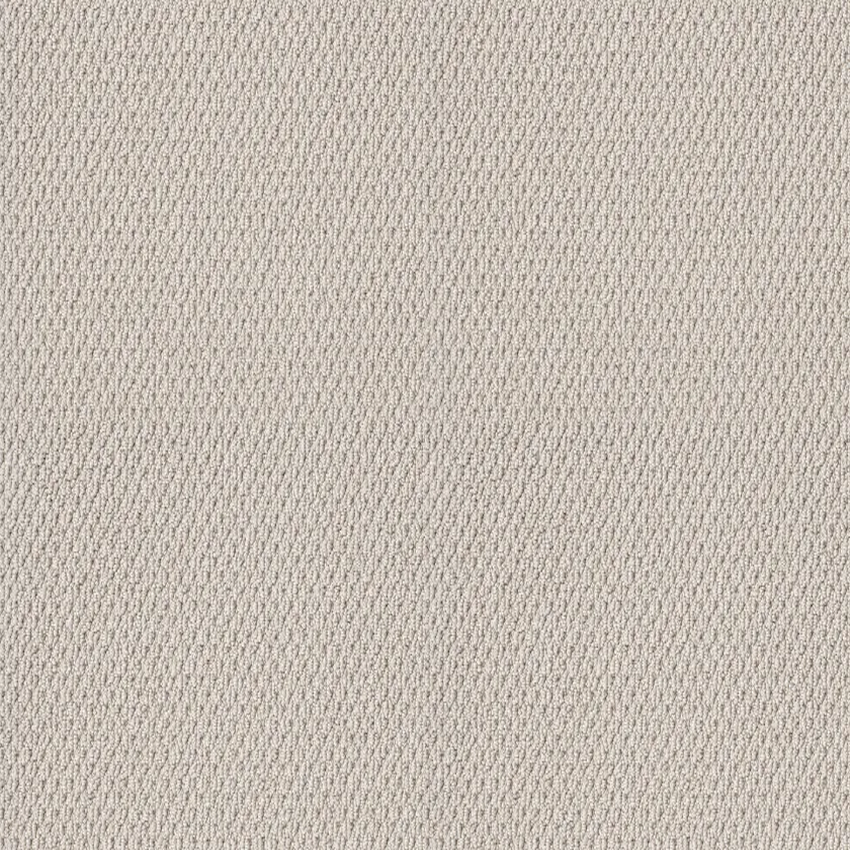 Shaw Floors Naturalistic Winters Dawn SHAW