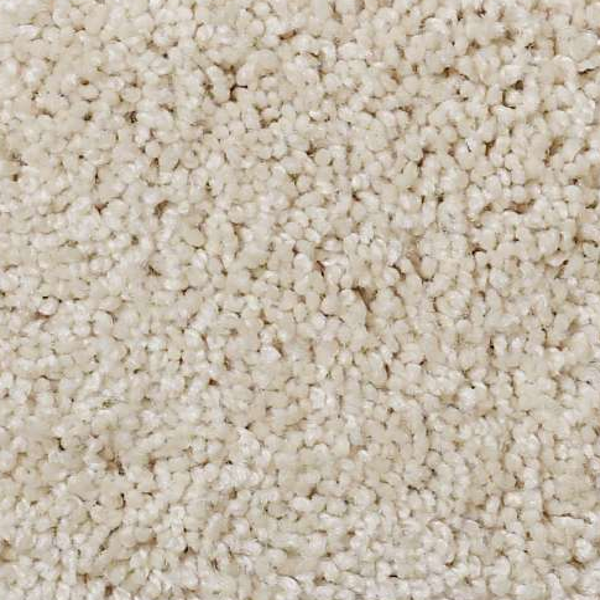 Shaw Floors Origins Canvas SHAW