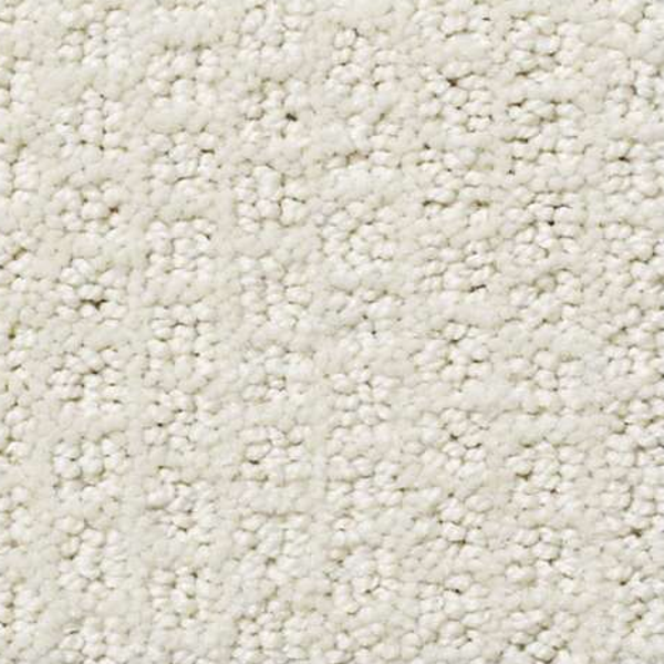 Shaw Floors Pacific Trails Canvas SHAW