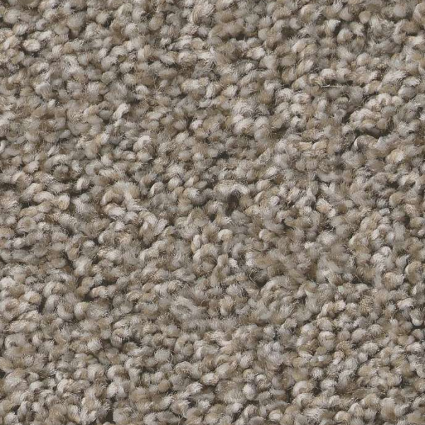 Shaw Floors Always Right II Cottage SHAW