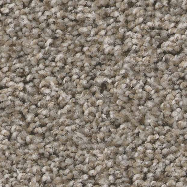 Shaw Floors Always Right I Cottage SHAW