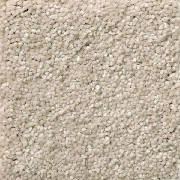 Shaw Floors Solidify III 12 Dreamy SHAW