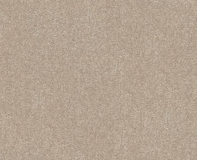 Shaw Floors Easy Spirit III 12 Dreamy SHAW