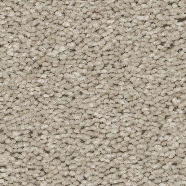 Shaw Floors Well Made Ecru SHAW