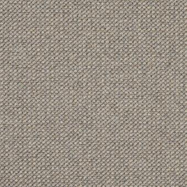 Masland Carpets Intention Fossil Masland