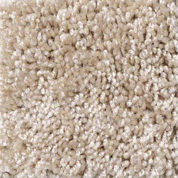 Shaw Floors Dreamin 12' Gallery SHAW