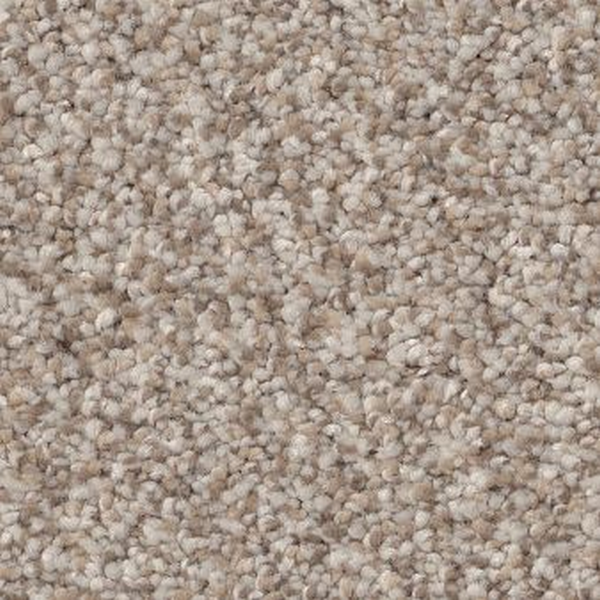 Shaw Floors Truspirit I Mist SHAW