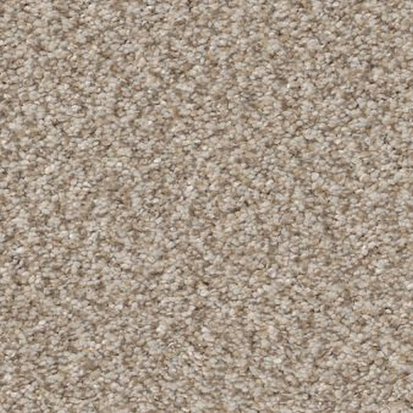 Shaw Floors Trusplendor Mist SHAW