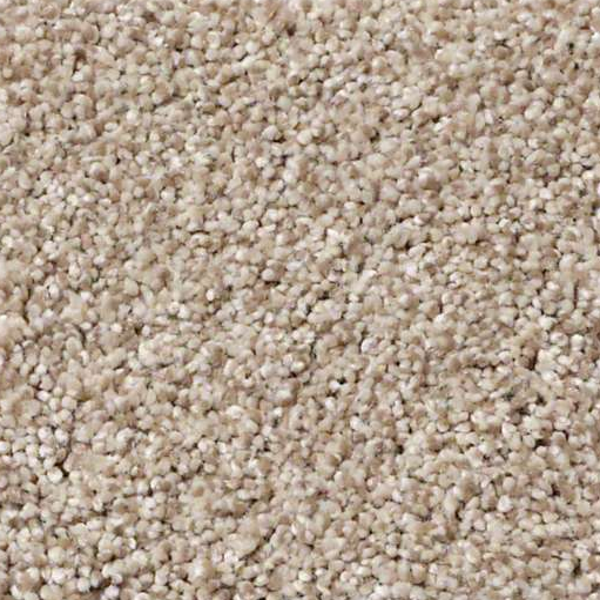 Shaw Floors Anso It Goes River Rock SHAW