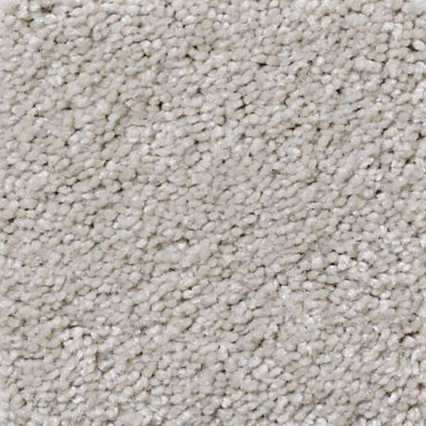 Shaw Floors That's Right Soft Chamois SHAW