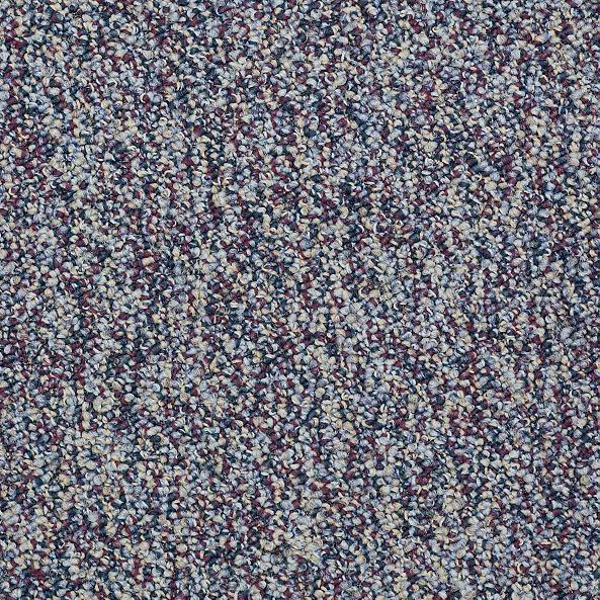 Philadelphia Commercial Franchise Plum Shaw