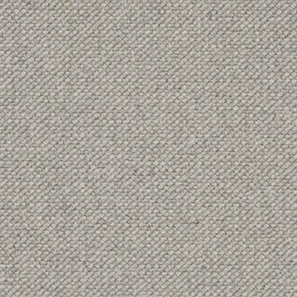 Masland Carpets Intention Ash Masland