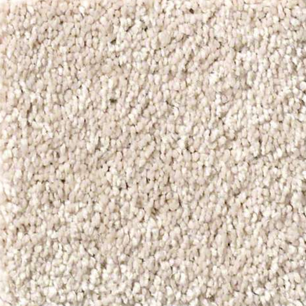 Shaw Floors Basic Rules Blush SHAW