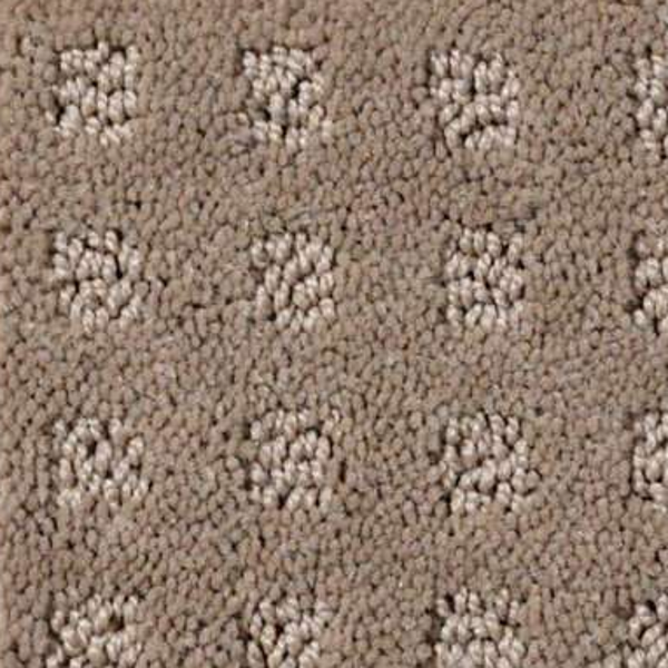 Shaw Floors Nottingham Chameleon SHAW