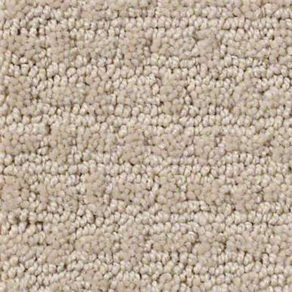 Shaw Floors Ray Of Light Frost SHAW