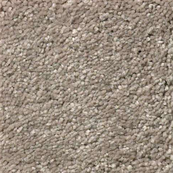 Shaw Floors Solidify III 15 Natural Contour SHAW