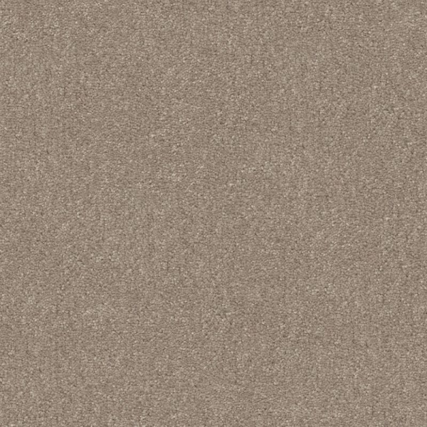 Shaw Floors Easy Spirit III 15 Natural Contour SHAW