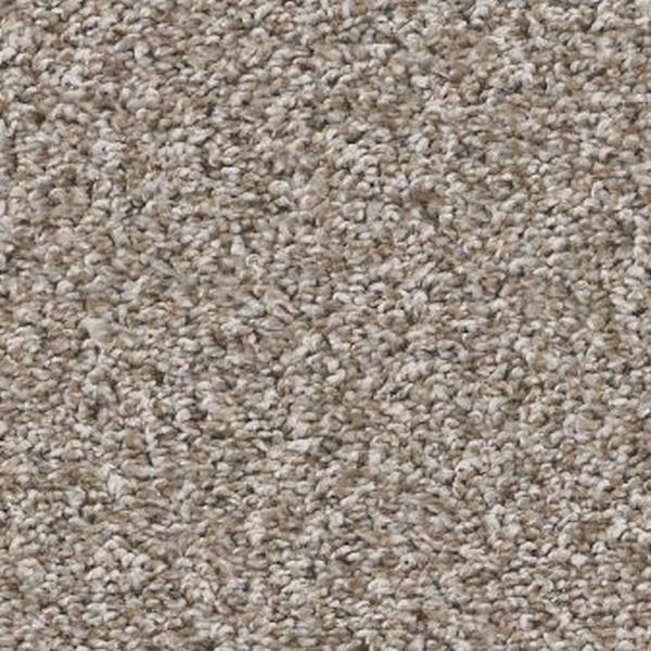 Shaw Floors Soft Radiance Daytona Sand SHAW