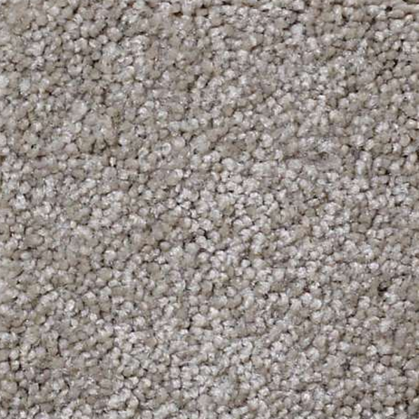 Shaw Floors What's Up Mocha Cream SHAW