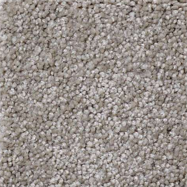 Shaw Floors That's Right Mocha Cream SHAW