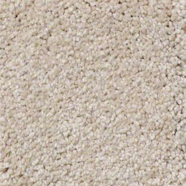 Shaw Floors Ultimate Expression 15' Soft Shadow SHAW