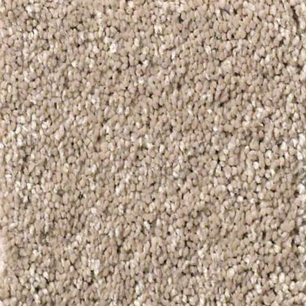 Shaw Floors Basic Rules Toast SHAW