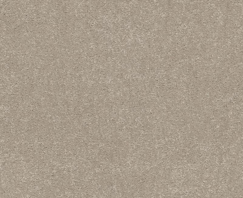 Shaw Floors Easy Spirit III 12 Greige SHAW