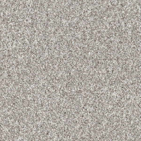 Shaw Floors Yes You Can II 12' Frozen SHAW