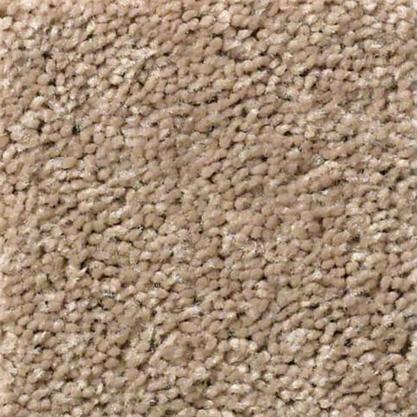 Shaw Floors Full Court 12 Tassel SHAW