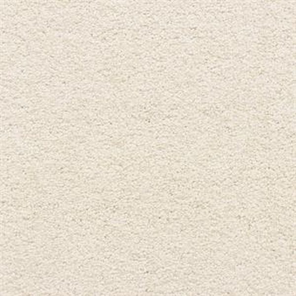 Masland Carpets Knockout Edge Masland