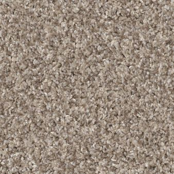 Shaw Floors Yes You Can I 15' Natural SHAW