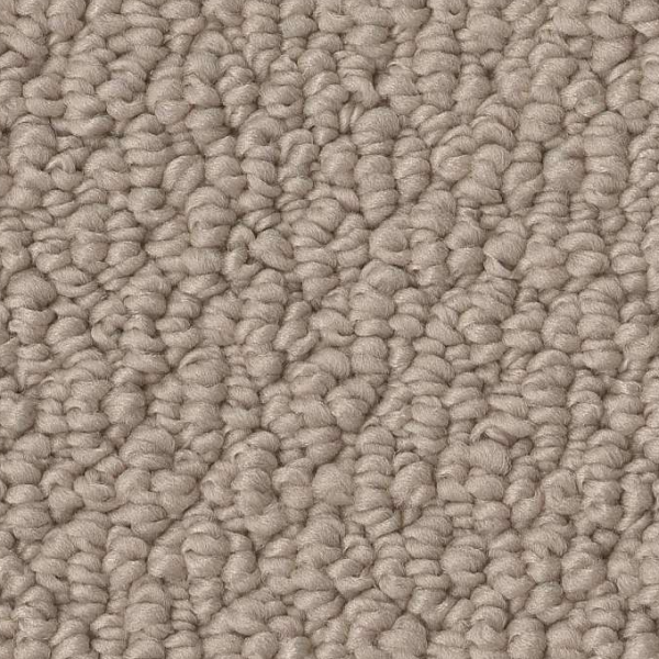 Shaw Floors Channeling Pebble Path SHAW