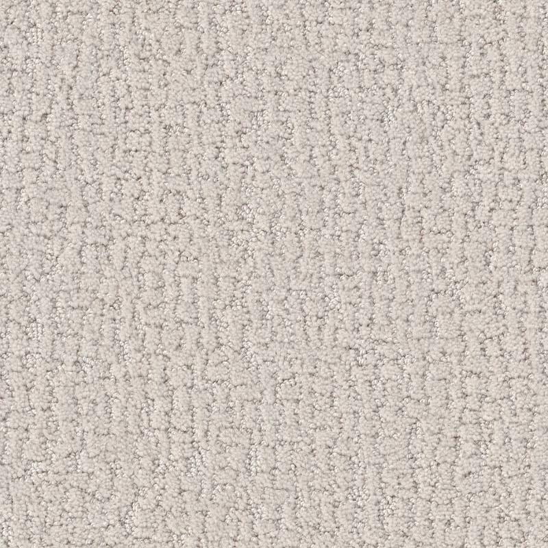 Shaw Floors Studio Set Scotch Mist SHAW