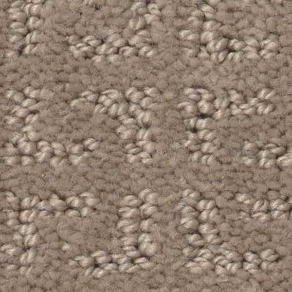 Shaw Floors Vastly Shadow SHAW