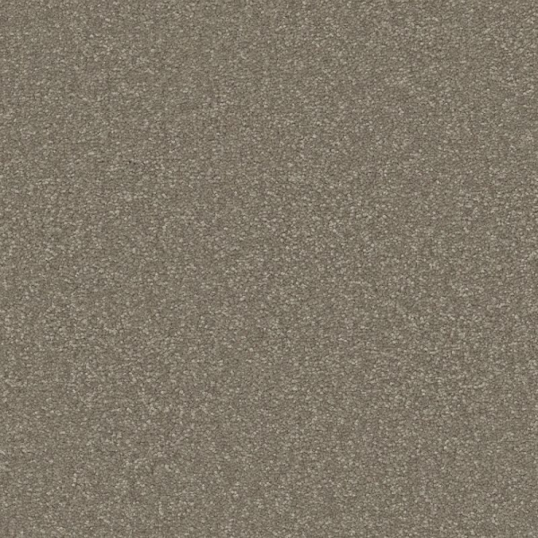 Shaw Floors Awaken Spirit I 12' Bungalow SHAW