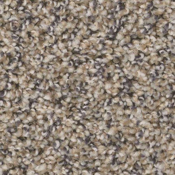 Shaw Floors Always Right II Cork SHAW