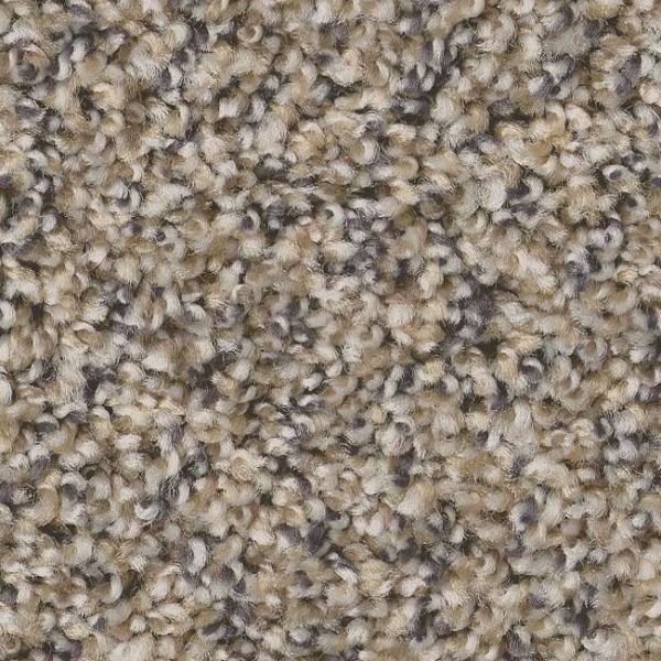 Shaw Floors Always Right I Cork SHAW