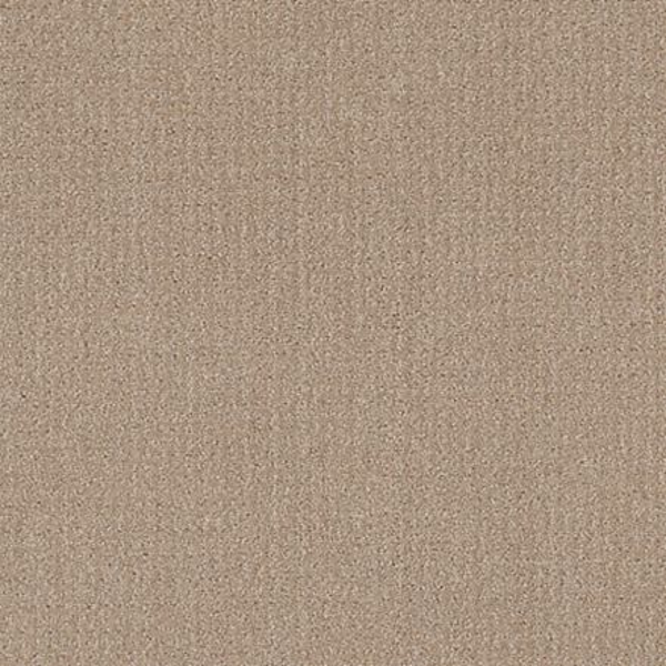 Shaw Floors Translate Fresh Baked SHAW