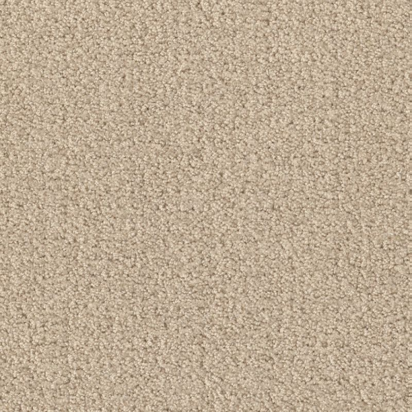 Shaw Floors Fine Tapestry Sun Kissed SHAW