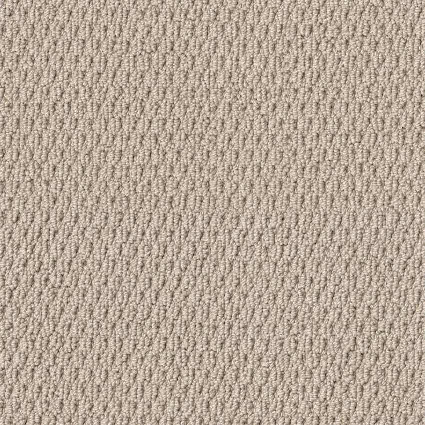 Shaw Floors Naturalistic Sun Kissed SHAW