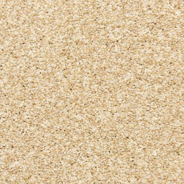 Dixie Home Marinette Champagne