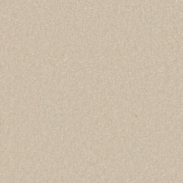 Shaw Floors Awaken Spirit II 15' Cottage SHAW