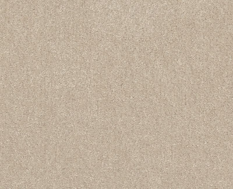 Shaw Floors Easy Spirit III 12 Cream SHAW